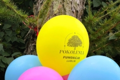 Dekoracje podczas wydarzenia „Kalina Brzmi!”
